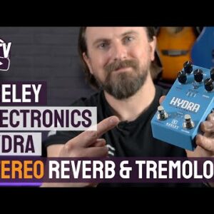 Keeley Electronics Hydra - Beautiful Stereo Reverbs & Tremolos!