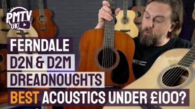 Ferndale D2-N & D2-M Dreadnoughts - Best Acoustic Guitars Under £100?!?
