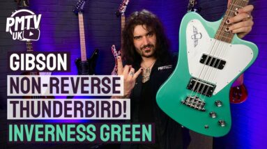 Gibson Non-Reverse Thunderbird Bass! - This Badass 60's Icon is Back & Better Than Ever!