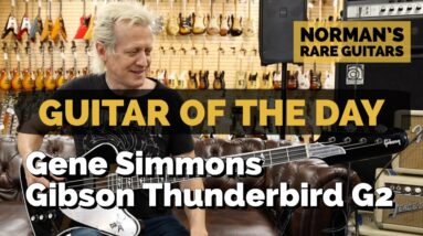 Guitar of the Day: Gibson Gene Simmons Thunderbird G2 | Greg Coates at Norman's Rare Guitars