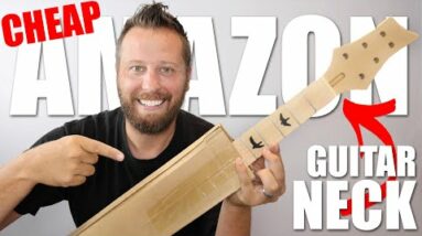 I Ordered The Cheapest Guitar Neck On Amazon....It's FANTASTIC!