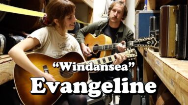 Evangeline "Windansea" LIVE at Norman's Rare Guitars