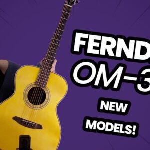 Ferndale OM3-E-RW the Best Beginners Acoustic?! - Brand New Stunning Ferndale Models Are Here!