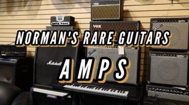 Amps available at Norman's Rare Guitars
