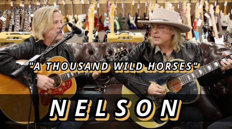 Nelson Twins "A Thousand Wild Horses" - Original 1959 Gibson J-200